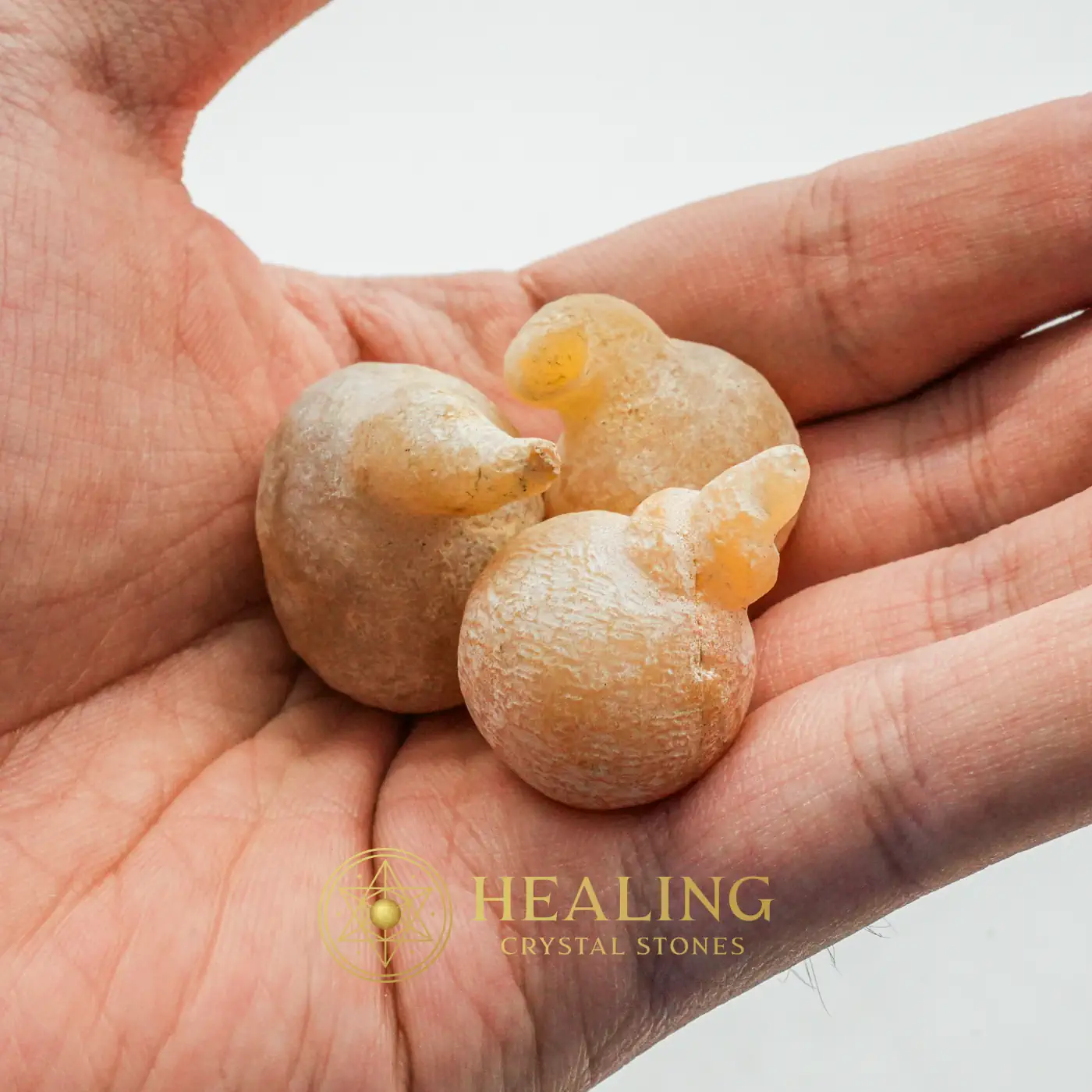 Forest Crone Spirit Pearl - Type A5 - Healing Crystals, Crystal Stones, Healing Bezoar Stones, Aura, Emotional Healing, Cleansing, Protection, Authentic, Rare, Divine