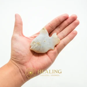 Fossil Fish - Type A1 - Healing Crystals, Mustika Pearls, Crystal Stones, Universal Energy, Emotional Healing, Cleansing, Exotic, Exceptional, Divine, Sacred
