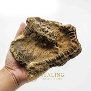 Fossilized Ants Nest - Type A - Bezoar Crystals, Healing Crystals, Mustika Stones, Spiritual Crystals, Ritual Power Stones, Energy Stones, Crystals, magical, spiritualism, psychic