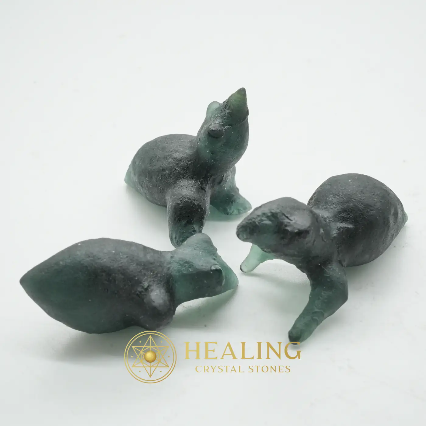 Fossilized Baby Crow - Type A1 - Crystal Stones, Healing Crystals, Mustika Stones, Mustika Pearls, Talismanic Stones, Amulet Stones, Guardian Stone, Protection, Aura, Positive Energy