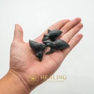 Fossilized Baby Crow - Type A1 - Spiritualism, Metaphysics, Occult, Psychic, Mysticism, Esoteric Stone, Esoteric Crystal, Esoteric Artifact, Mystical, Divine