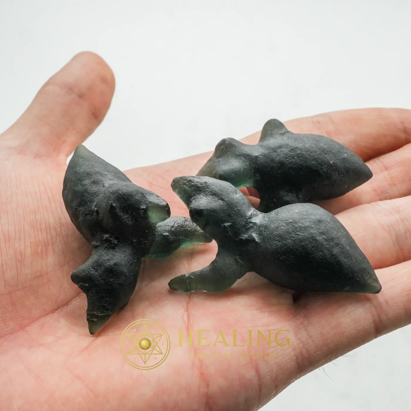 Fossilized Baby Crow - Type A1 - Ritual Crystals, Ritual Power Stones, Ritualistic, Ceremonial, Sacred Stones, Sacred Crystals, Divine, Mysticism, Fortune, Luck