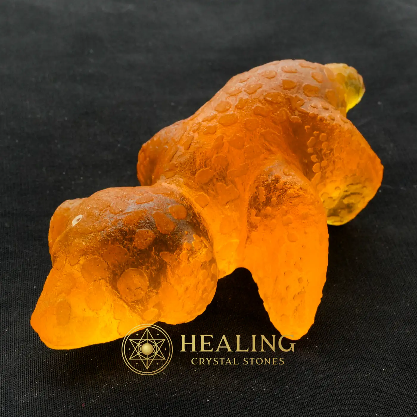 Fossilized Baby Nyambik Kencana - Type C1 - Healing Crystals, Healing Stones, Spiritual Crystals, Emotional Healing, Spiritual Healing, Meditation, Inner Wisdom, Aura, Chakra, Positive Energy