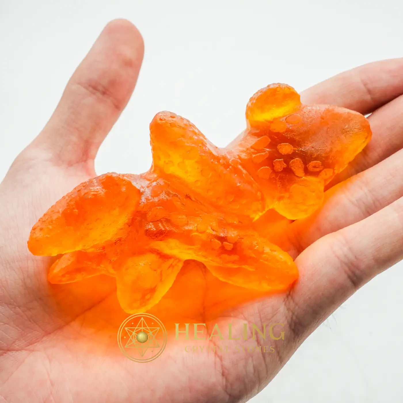 Fossilized Baby Nyambik Kencana - Type C1 - Nature Stone, Nature Crystal, Earth Spirit Stone, Solar Crystal, Spirit Stone, Life Force Stone, Life Energy Crystal, Universal Energy, Energetic, Harmony