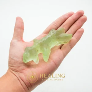 Fossilized Baby Nyambik Siluman - Type B1 - Healing Crystals, Crystal Stones, Mustika Pearls, Healing Stones, Spiritual Crystals, Aura, Chakra, Meditation, Positive Energy, Protection