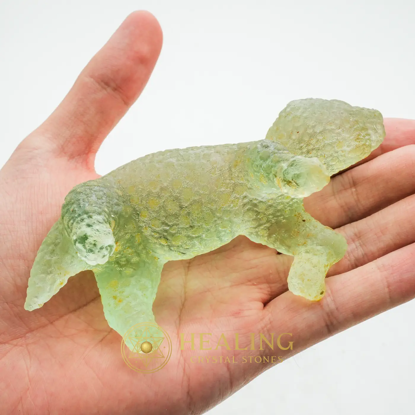 Fossilized Baby Nyambik Siluman - Type B5 - Ritual Power Stones, Ritual Crystals, Ritualistic, Ceremonial, Mysticism, Sacred Crystals, Spiritual Healing, Emotional Healing, Balance, Harmony
