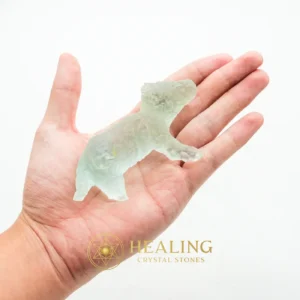 Fossilized Baby Nyambik Siluman - Type B6 - Crystal Stones, Rare, Exotic, Unique, Exceptional, Ornamental, Authentic, Antique, Ancient Relic, Mystical Relic