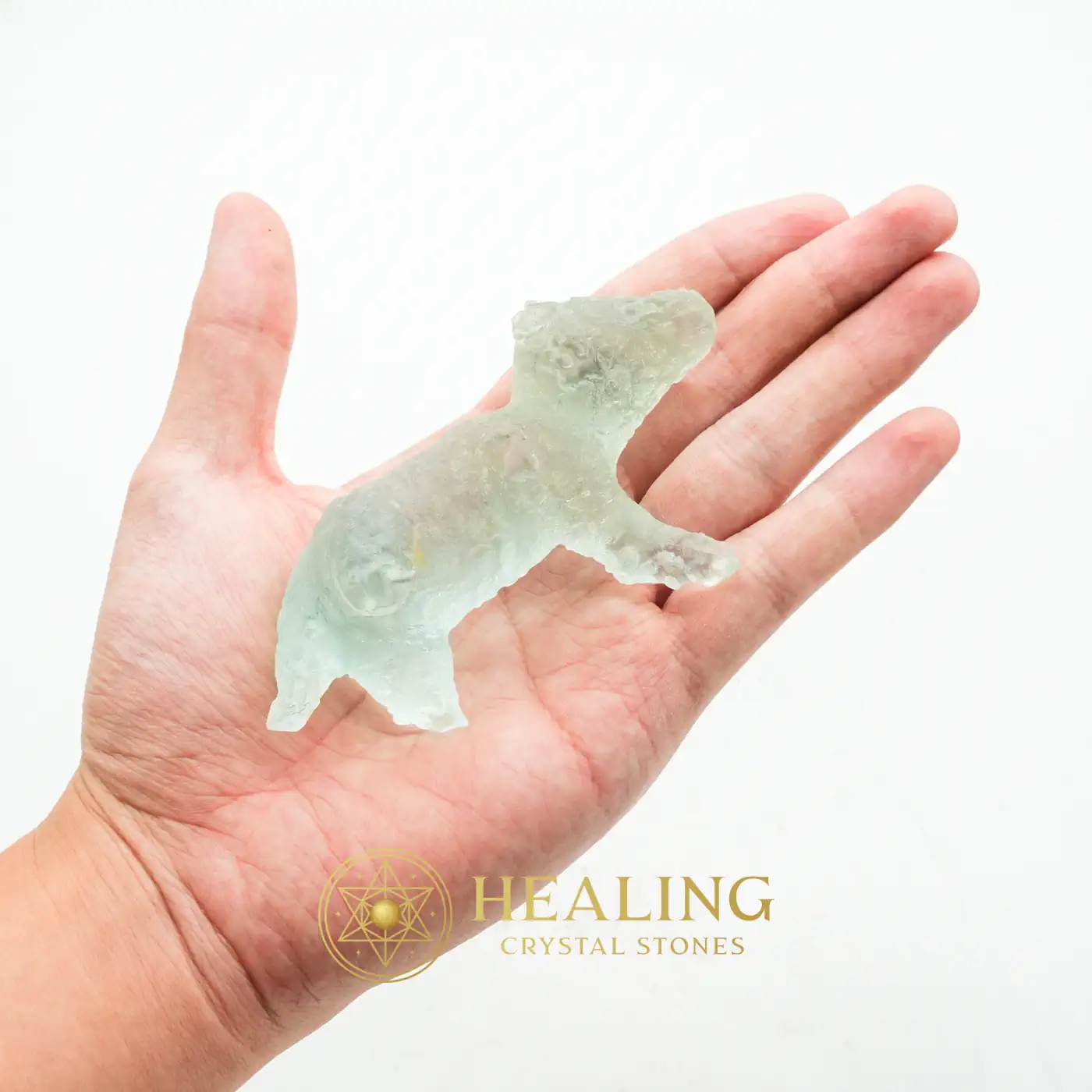 Fossilized Baby Nyambik Siluman - Type B6 - Crystal Stones, Rare, Exotic, Unique, Exceptional, Ornamental, Authentic, Antique, Ancient Relic, Mystical Relic