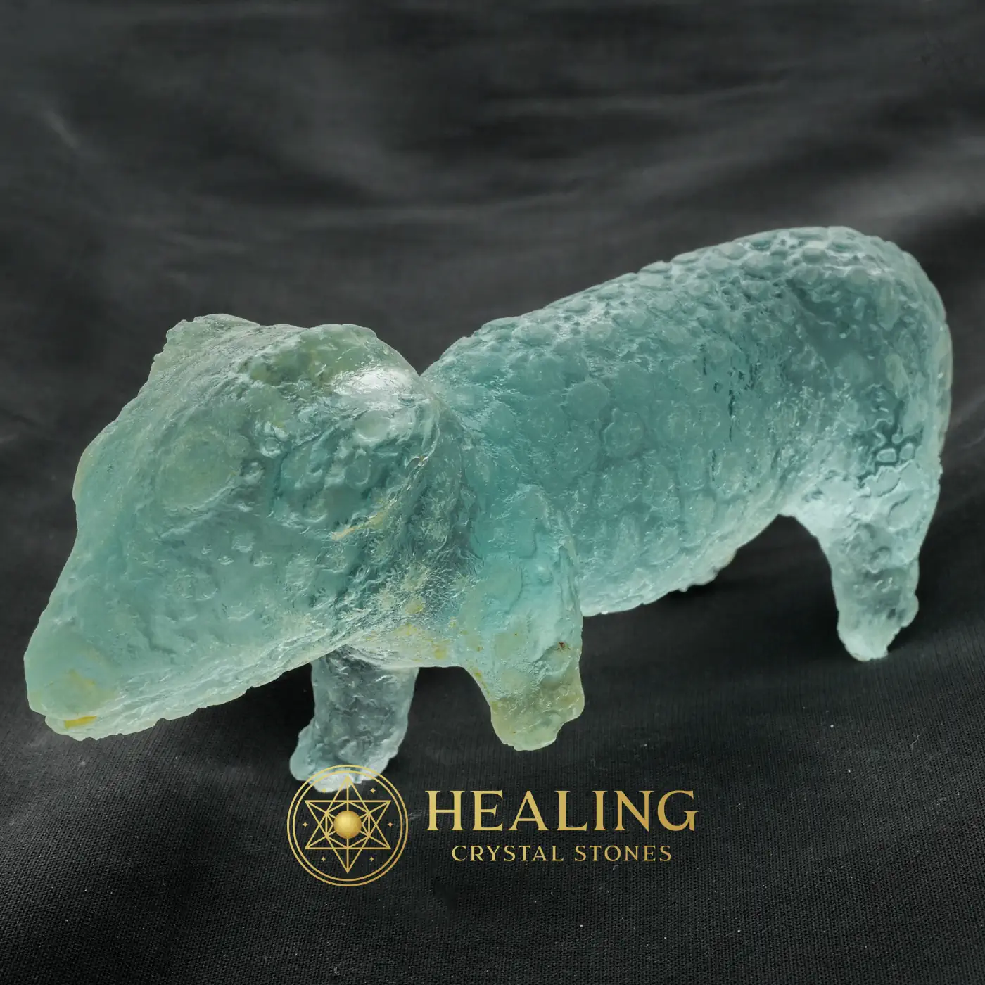 Fossilized Baby Nyambik Siluman - Type B8 - Animal Totem Stones, Power Animal Stones, Spirit Stone, Spirit Crystal, Earth Spirit Stone, Nature Stone, Mystical, Shamanic, Inner Wisdom, Aura