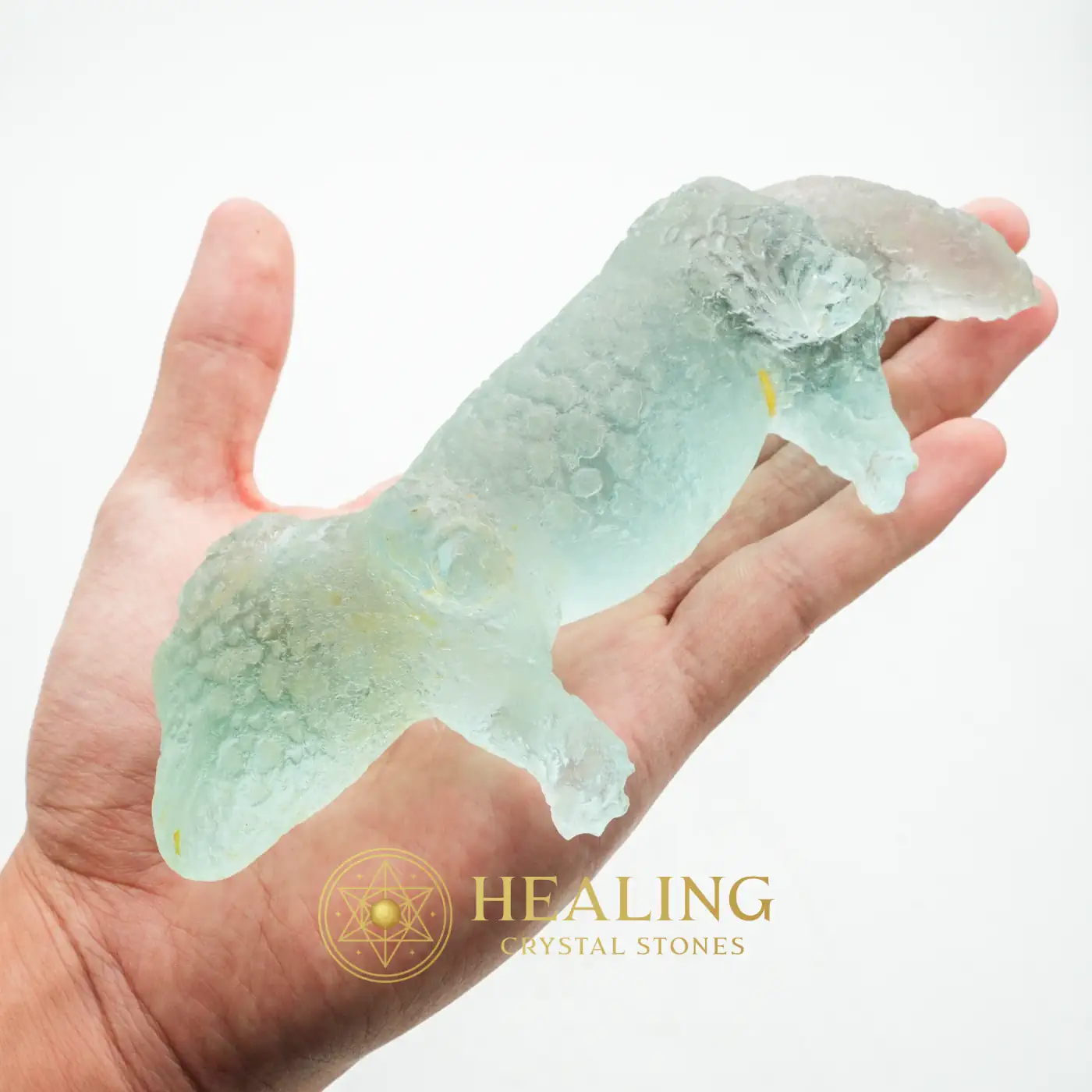 Fossilized Baby Nyambik Siluman - Type B8 - Healing Stones, Healing Crystals, Emotional Healing, Spiritual Healing, Aura, Chakra, Meditation, Cleansing, Purification, Harmony