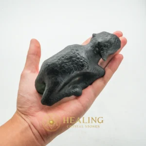 Fossilized Black Nyambik Buntung - Type D1 - Healing Crystals, Crystal Stones, Chakra, Sacral Chakra Crystal, Energy Balance Stone, Energy Alignment Crystal, Aura, Meditation, Universal Energy, Energetic