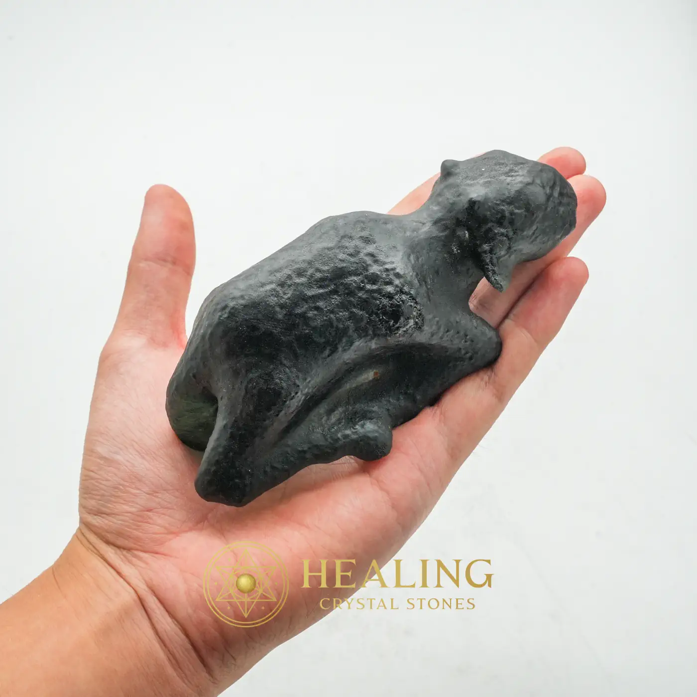 Fossilized Black Nyambik Buntung - Type D1 - Healing Crystals, Crystal Stones, Chakra, Sacral Chakra Crystal, Energy Balance Stone, Energy Alignment Crystal, Aura, Meditation, Universal Energy, Energetic