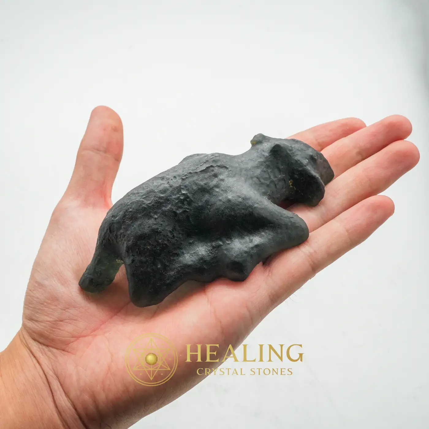 Fossilized Black Nyambik Buntung - Type D2 - Occult Artifact, Esoteric Artifact, Esoteric Stone, Esoteric Crystal, Psychic, Occult, Metaphysics, Mysticism, Rare, Ancient Relic