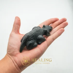 Fossilized Black Nyambik Buntung - Type D3 - Guardian Stone, Guardian Crystal, Guardian Talisman, Guardian Amulet, Warding Stone, Protective Stone, Energy Shield Crystal, Protection, Luck, Fortune