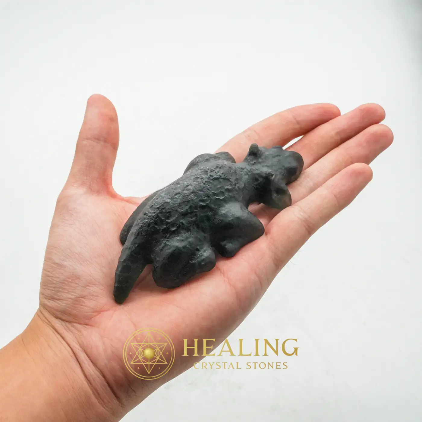 Fossilized Black Nyambik Buntung - Type D3 - Guardian Stone, Guardian Crystal, Guardian Talisman, Guardian Amulet, Warding Stone, Protective Stone, Energy Shield Crystal, Protection, Luck, Fortune