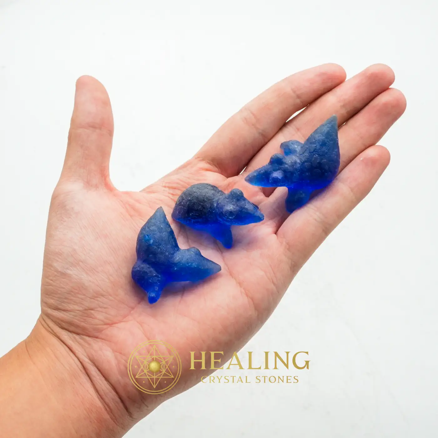 Fossilized Blue Crow - Type A1 - Metaphysics, Spiritualism, Spritual, Psychic, Occult, Esoteric Stone, Esoteric Crystal, Esoteric Artifact, Mysticism, Shamanic