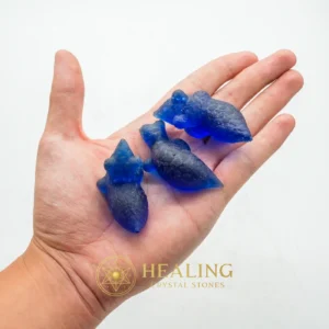 Fossilized Blue Crow - Type A2 - Healing Bezoar Stones, Bezoar Crystals, Bezoar Stones, Healing Crystals, Healing Stones, Spiritual Crystals, Rare, Ancient Relic, Mystical Relic, Authentic