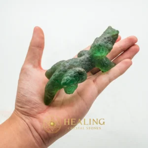 Fossilized Green Crocodile Siluman - Type D4 - Spirit Stone, Spirit Crystal, Animal Totem Stones, Power Animal Stones, Nature Stone, Earth Spirit Stone, Shamanic, Inner Wisdom, Harmony, Aura