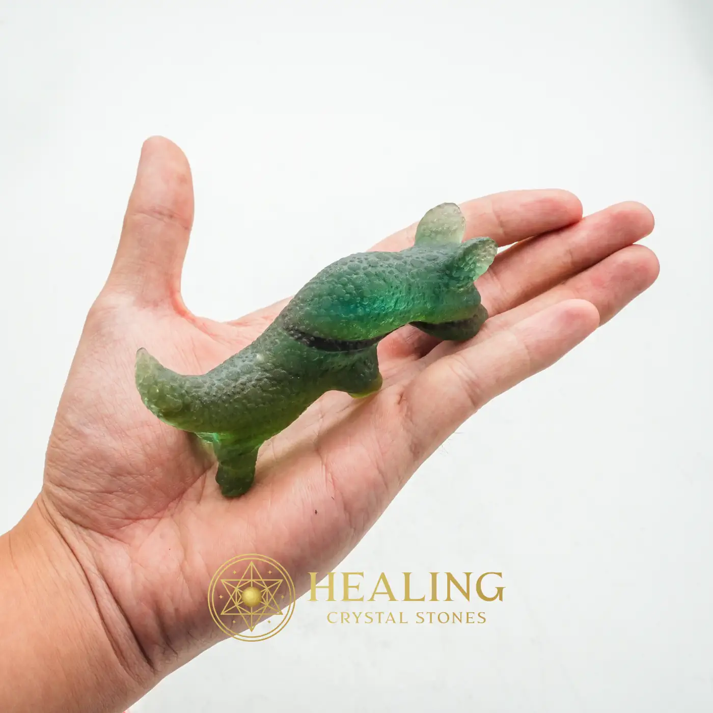 Fossilized Green Dragons - Type A1 - Crystal Stones, Healing Crystals, Sacred Stones, Energy Stones, Aura, Chakra, Meditation, Universal Energy, Balance, Harmony