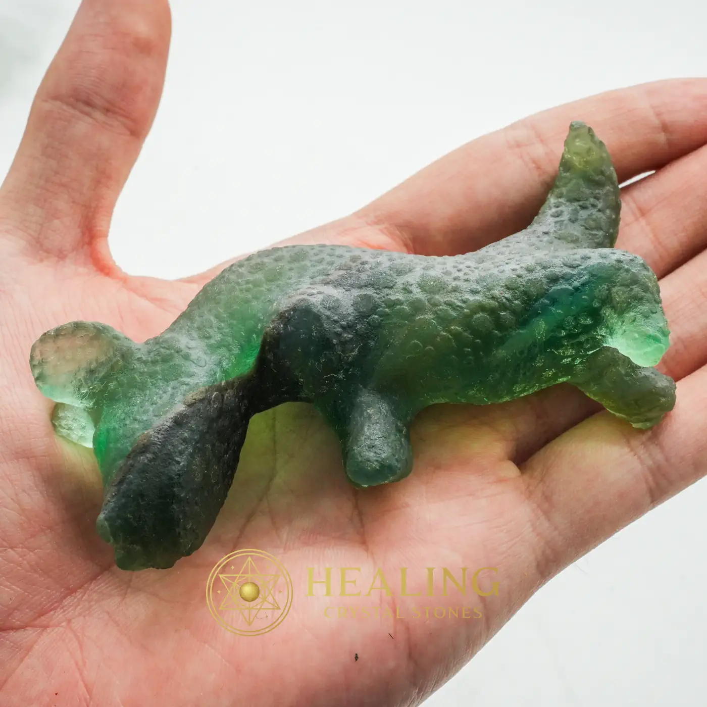 Fossilized Green Dragons - Type A1 - Guardian Stone, Guardian Crystal, Guardian Talisman, Guardian Amulet, Warding Stone, Protective Stone, Energy Shield Crystal, Sacred, Protection, Fortune