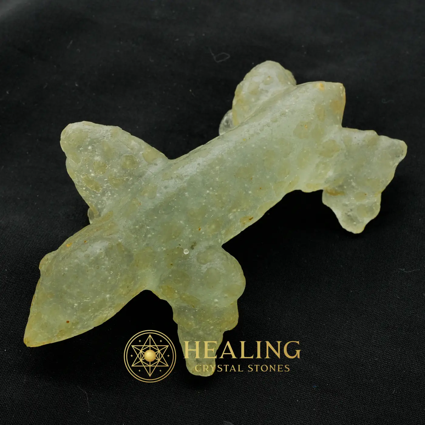 Fossilized Horned Nyambik - Type C1 - Mustika Stones, Mustika Pearls, Crystal Stones, Energy Stones, Sacred Stones, Talisman Crystals, Guardian Amulet, Fortune, Luck, Protection