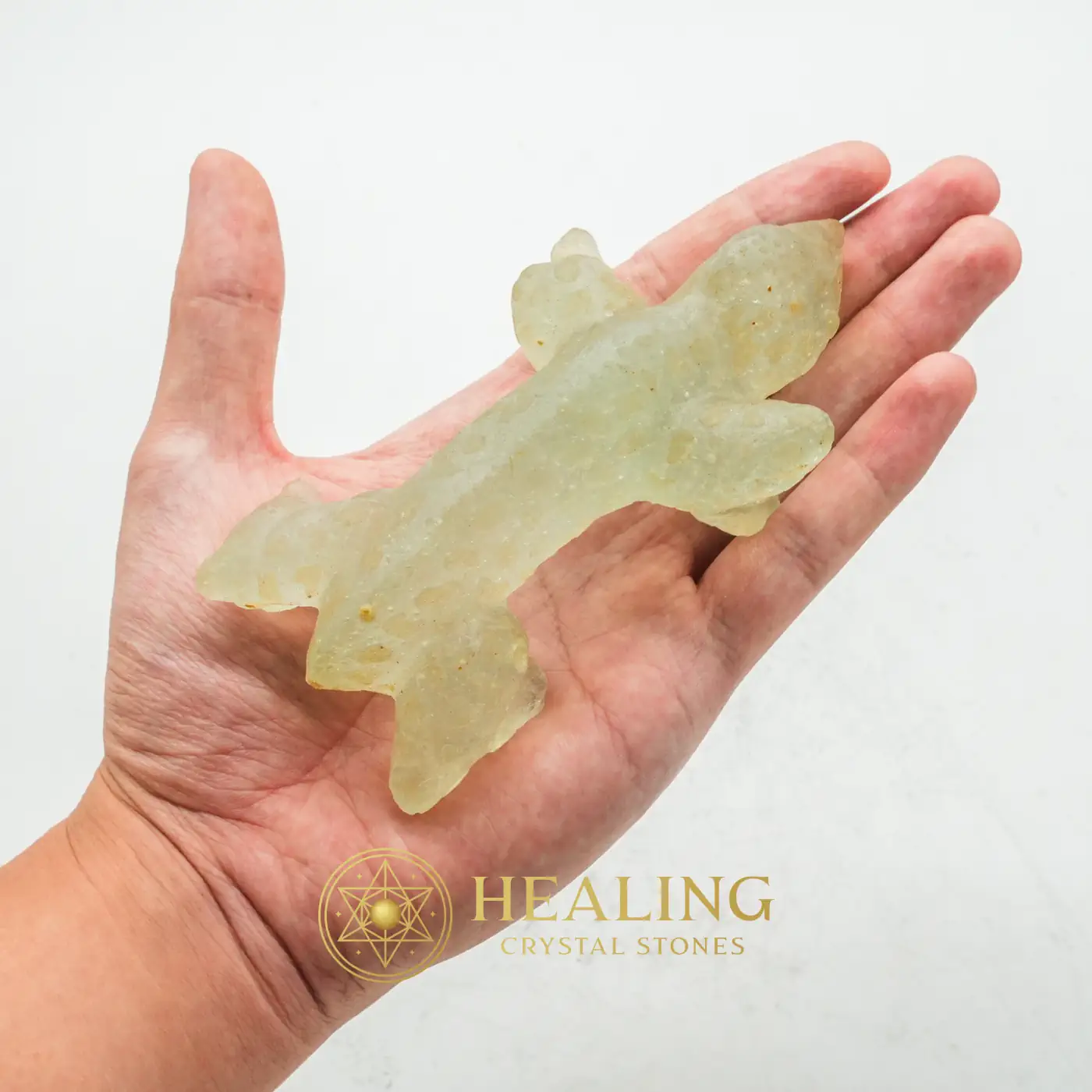 Fossilized Horned Nyambik - Type C1 - Healing Stones, Spiritual Crystals, Healing Crystals, Emotional Healing, Spiritual Healing, Meditation, Chakra, Aura Crystal, Balance, Positive Energy