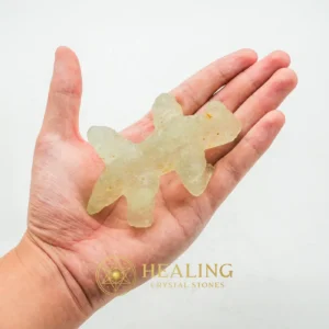 Fossilized Horned Nyambik - Type C2 - Healing Crystals, Crystal Stones, Sacred Stones, Spiritual Crystals, Aura Crystal, Meditation, Chakra, Protection, Positive Energy, Harmony