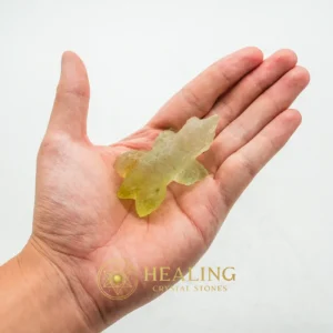 Fossilized Horned Nyambik - Type C4 - Warding Stone, Protective Stone, Guardian Crystal, Guardian Amulet, Energy Shield Crystal, Negative Energy Protection, Aura Cleansing Stone, Cleansing, Protection, Positive Energy