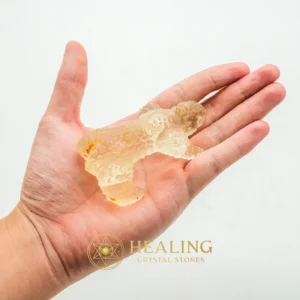 Fossilized Horned Nyambik - Type C8 - Mustika Pearls, Mustika Stones, Crystal Stones, Sacred Crystals, Energy Stones, Guardian Crystal, Aura Crystal, Meditation, Balance, Spiritual Healing