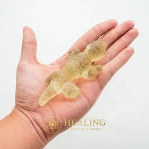 Fossilized Lizard Biawak Siluman - Type A2 - Healing Crystals, Crystal Stones, Crystals, Sacred Crystals, Mystical, Magickal Crystals, Ritual Crystals, Magical Stones, Enchanted, Rare