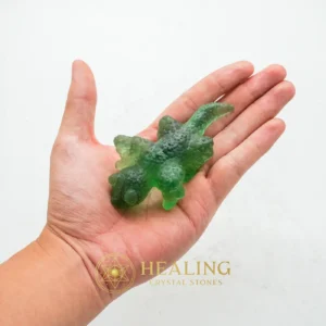Fossilized Lizard Biawak Siluman - Type A3 - Bezoar Stones, Bezoar Crystals, Healing Bezoar Stones, Animal Totem Stones, Power Animal Stones, Spirit Stone, Spirit Crystal, Guardian Stone, Guardian Crystal, Rare