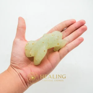 Fossilized Lizard Biawak Siluman - Type A5 - Healing Crystals, Sacred Stones, Mystical, Aura Crystal, Cleansing, Protection, Rare, Guardian Stone, Spiritual Healing, Ancient Relic