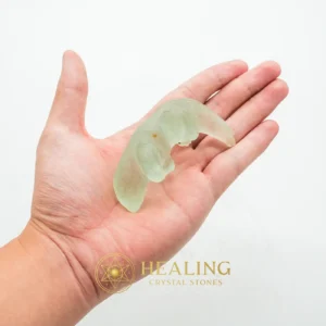 Fossilized Lizard Siluman - Type A4 - Healing Crystals, Crystal Stones, Crystals, Sacred Crystals, Mystical, Magickal Crystals, Ritual Crystals, Magical Stones, Enchanted, Rare