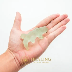 Fossilized Lizard Siluman - Type A5 - Energy Stones, Energy Balance Stone, Energy Alignment Crystal, Life Force Stone, Life Energy Crystal, Solar Crystal, Universal Energy, Energetic, Harmony, Balance