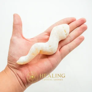 Fossilized Moak Siluman - Type B1 - Cleansing, Purification, Protection, Warding Stone, Protective Stone, Negative Energy Protection, Energy Shield Crystal, Aura Cleansing Stone, Guardian Crystal, Guardian Stone