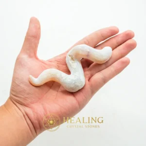 Fossilized Moak Siluman - Type B2 - Metaphysics, Spiritualism, Spritual, Shaman, Shamanic, Psychic, Occult, Esoteric Artifact, Esoteric Crystal, Mysticism