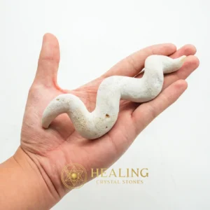 Fossilized Moak Siluman - Type B3 - Aura Crystal, Aura Cleansing Stone, Aura, Sacral Chakra Crystal, Chakra, Meditation, Awakened, Inner Wisdom, Harmony, Spiritual Healing