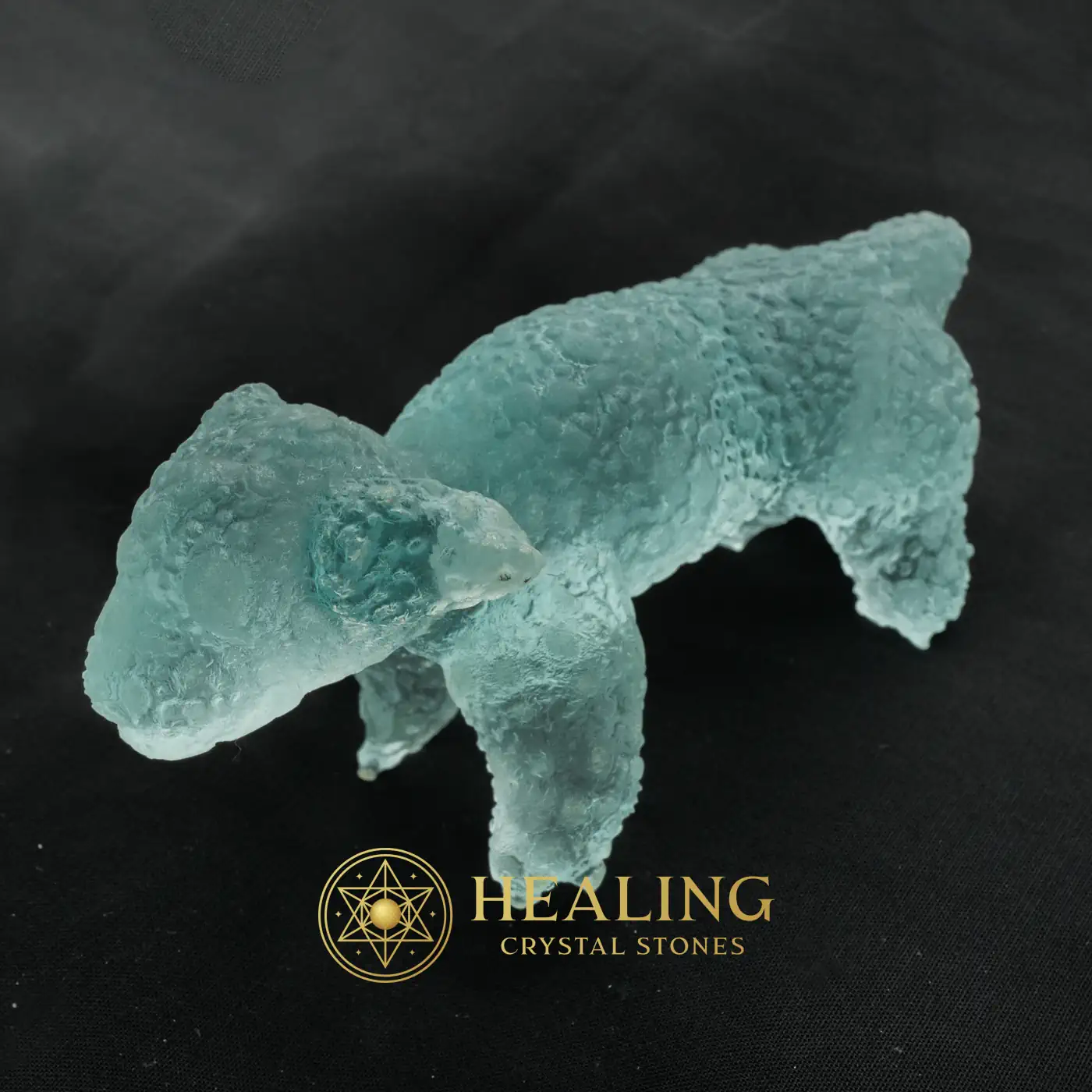 Fossilized Nyambik Siluman - Type A2 - Magical Stones, Ritual Power Stones, Guardian Talisman, Enchanted Stones, Mysticism, Divine, Fortune, Luck, Positive Energy, Sacred