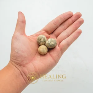 Fossilized Quail Eggs - Type B - Fortune, Luck, Divine, Sacred, Mystical, Enchanted, Positive Energy, Universal Energy, Guardian Amulet, Protection