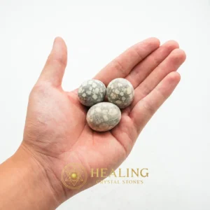 Fossilized Quail Eggs - Type C - Ritual Crystals, Sacred Stones, Ritual Power Stones, Enchanted Stones, Magickal Crystals, Divine, Fortune, Positive Energy, Sacred, Meditation