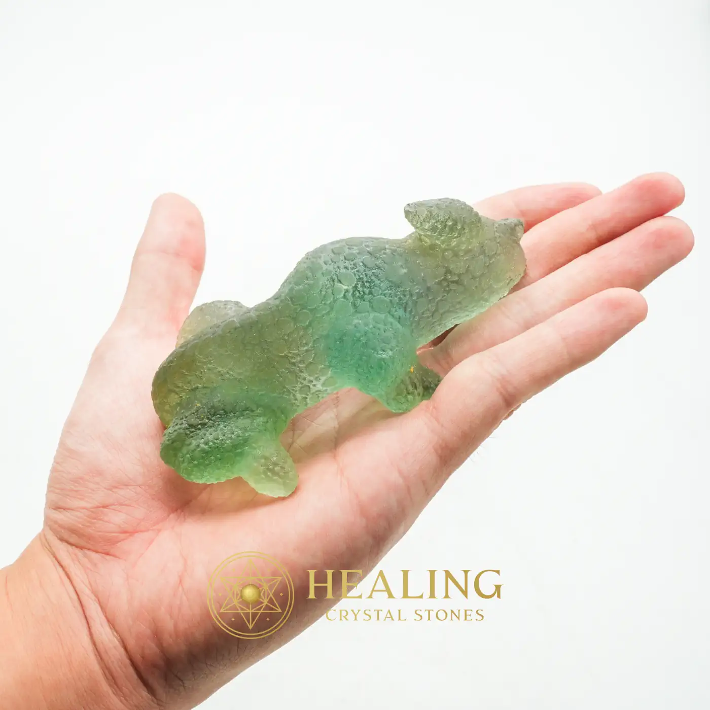Fossilized Rhino Siluman Spirit Fossil - Type A3 - Ritual Power Stones, Ritual Crystals, Talismanic Stones, Guardian Amulet, Warding Stone, Sacred, Mystical, Divine, Positive Energy, Protection