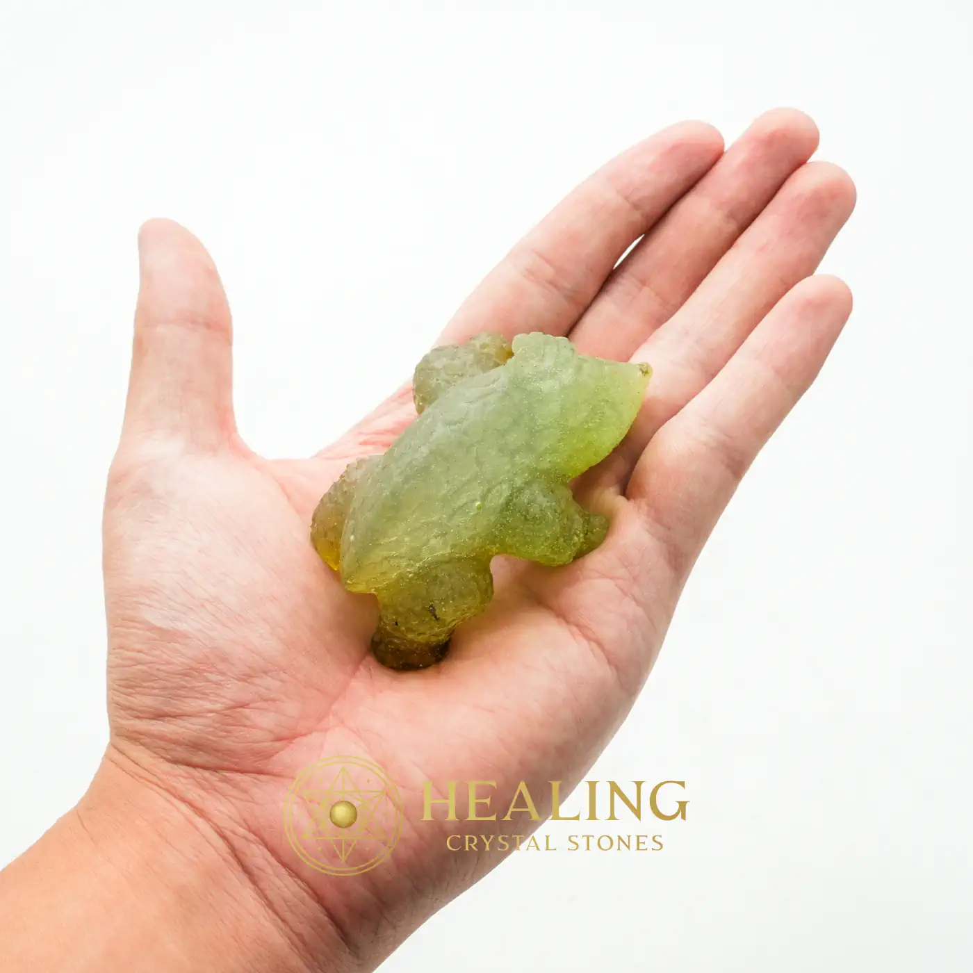 Fossilized Rhino Siluman Spirit Fossil - Type A5 - Magickal Crystals, Magical Stones, Ritualistic, Ceremonial, Mysticism, Divine, Sacred, Enchanted, Fortune, Luck