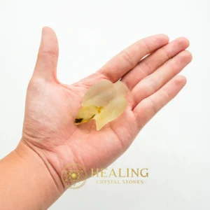 Fossilized Siluman Bird - Type A1 - Healing Crystals, Crystal Stones, Sacred Stones, Spiritual Crystals, Aura, Meditation, Rare, Divine, Cleansing, Guardian Stone