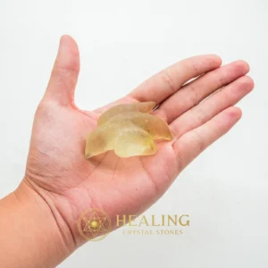 Fossilized Siluman Bird - Type A12 - Negative Energy Protection, Energy Shield Crystal, Warding Stone, Protective Stone, Cleansing, Purification, Aura Cleansing Stone, Protection, Guardian Crystal, Guardian Stone