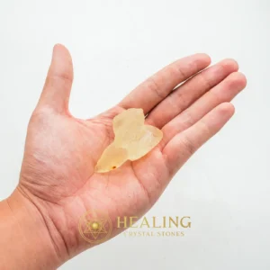 Fossilized Siluman Bird - Type A13 - Negative Energy Protection, Energy Shield Crystal, Warding Stone, Protective Stone, Cleansing, Purification, Aura Cleansing Stone, Protection, Guardian Crystal, Guardian Stone