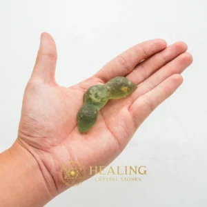 Fossilized Siluman Bird - Type A15 - Healing Crystals, Crystal Stones, Crystals, Sacred Crystals, Mystical, Magickal Crystals, Ritual Crystals, Magical Stones, Enchanted, Rare