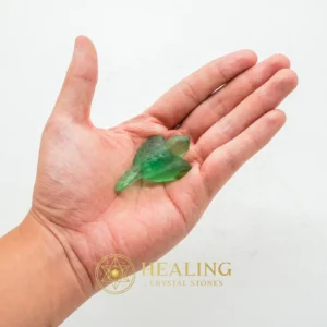 Fossilized Siluman Bird - Type A18 - Authentic, Antique, Rare, Exotic, Unique, Exceptional, Ornamental, Divine, Mystical Relic, Ancient Relic