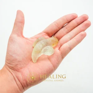 Fossilized Siluman Bird - Type A2 - Animal Totem Stones, Power Animal Stones, Spirit Stone, Spirit Crystal, Guardian Stone, Guardian Crystal, Nature Stone, Shamanic, Shaman, Sacred