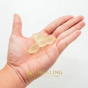 Fossilized Siluman Bird - Type A21 - Magical Stones, Magickal Stones, Magickal Crystals, Ritual Power Stones, Ritual Crystals, Enchanted Stones, Ritualistic, Ceremnoial, Occult, Mysticism