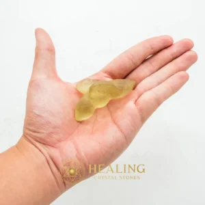 Fossilized Siluman Bird - Type A22 - Warding Stone, Protective Stone, Protection, Cleansing, Purification, Negative Energy Protection, Energy Shield Crystal, Aura Cleansing Stone, Guardian Stone, Guardian Crystal